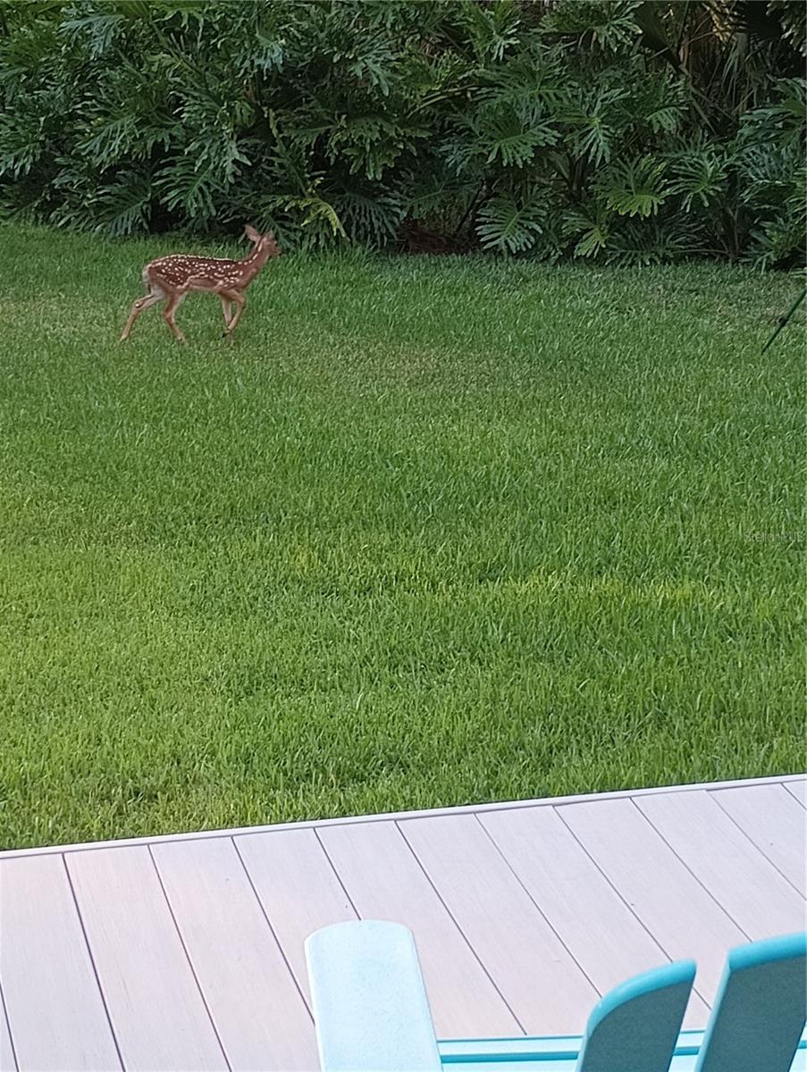 WEKIVA CAMP SITES REPLAT - Residential