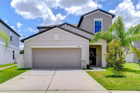 4321 GLOBE THISTLE DRIVE TAMPA FL 33619