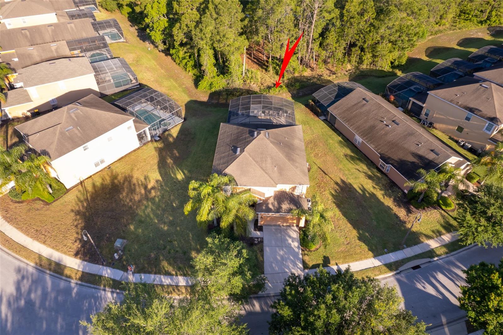 906 ORANGE COSMOS BOULEVARD