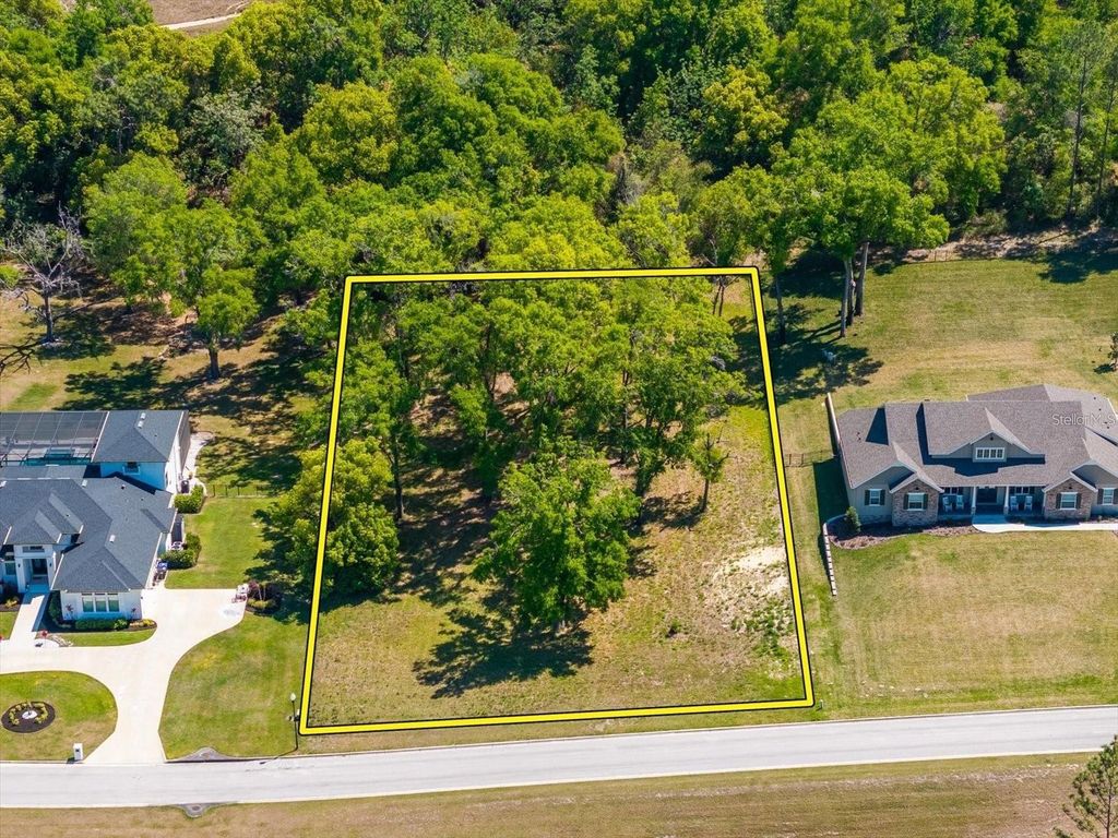 Photo of 7041 Norne Lane, Mount Dora, FL 32757 (MLS # O6325944)