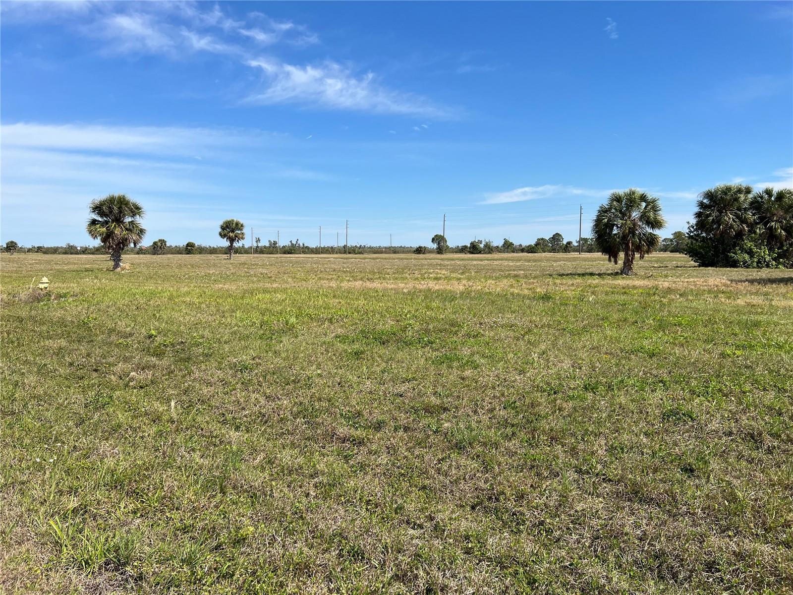 Excellent Development Opportunity – 4 Buildable Lots in a Rapidly Growing Community Don’t miss this exceptional opportunity to develop four single-family homes on a combined 32,234 sq ft of land. This offering includes four separate parcels — three measuring 7,500 sq ft each, and one oversized corner lot that can easily be subdivided when you're ready to build. Located in a thriving area near Rotonda and Boca Grande, this property is perfectly situated short distance to shopping, dining, and the pristine beaches of Boca Grande. Enjoy the convenience of being just minutes from the Boca Grande Sandbar and Coral Creek Airport, making it an ideal location for both full-time residents and vacation home buyers. Whether you're a builder, investor, or looking to create a custom residential enclave — this property offers the size, flexibility, and location to make your vision a reality.