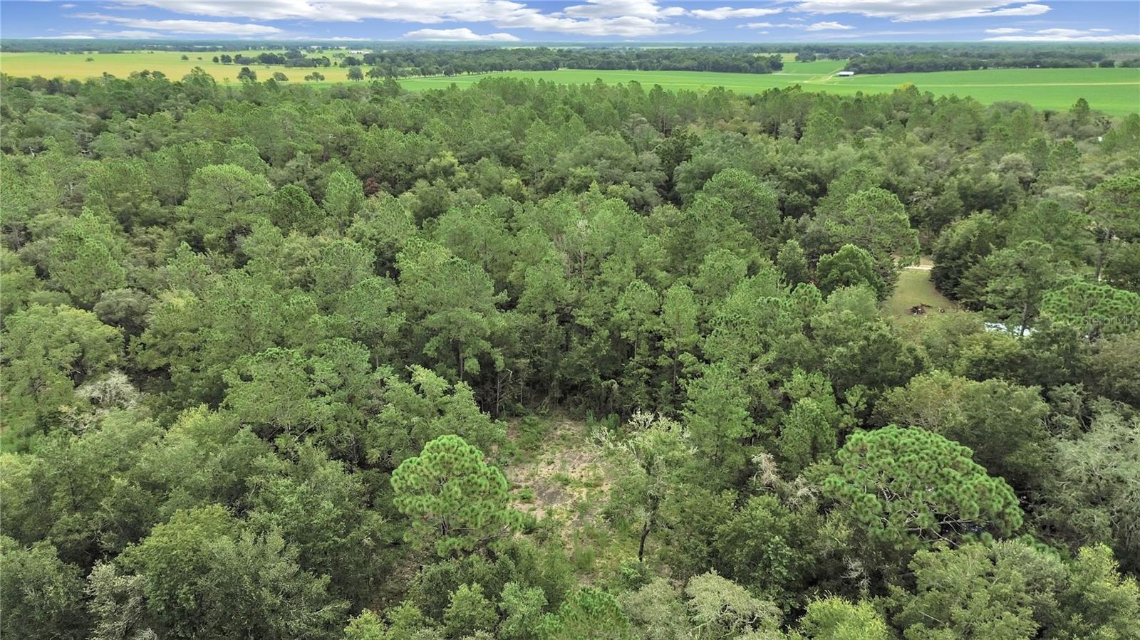 WILLISTON HIGHLANDS UN #14 - Land