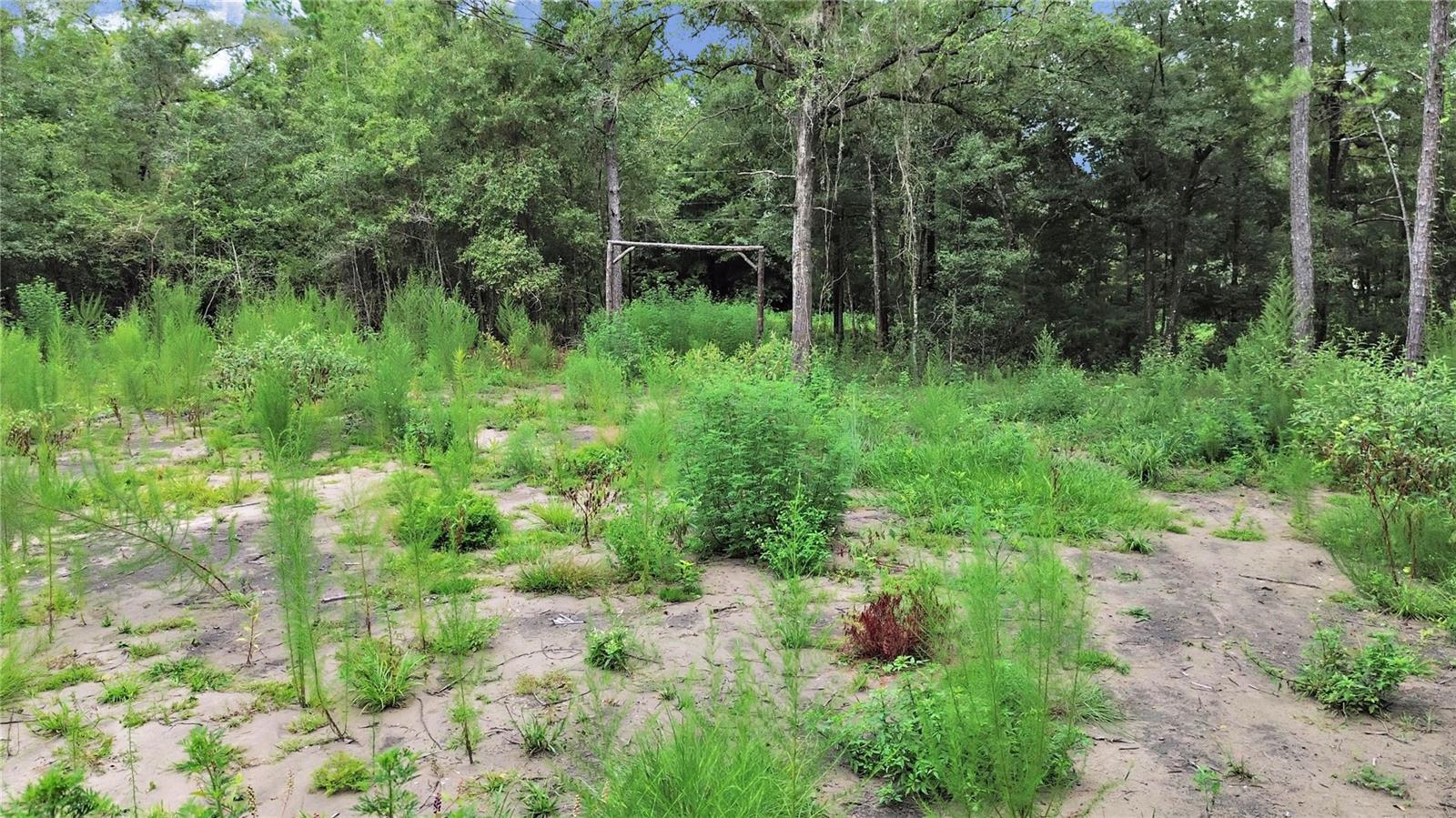 WILLISTON HIGHLANDS UN #14 - Land