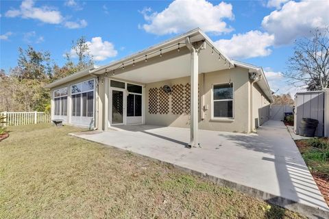 A home in LAND O LAKES