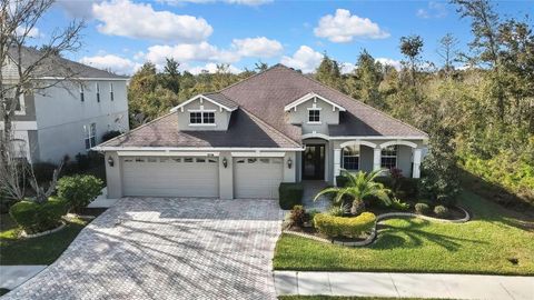 A home in LAND O LAKES