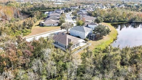 A home in LAND O LAKES