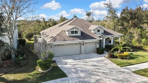 A home in LAND O LAKES