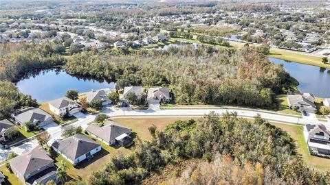 A home in LAND O LAKES