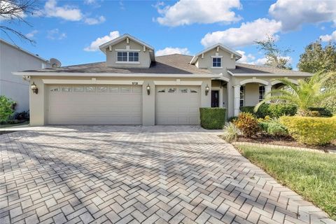 A home in LAND O LAKES