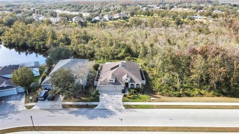 A home in LAND O LAKES