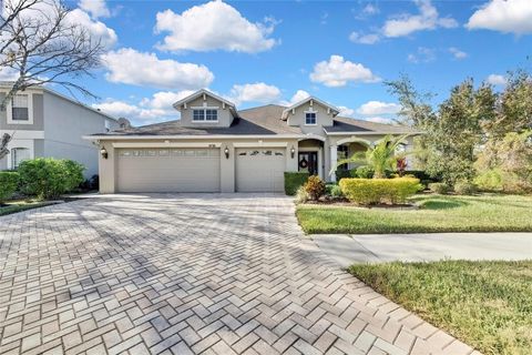 A home in LAND O LAKES