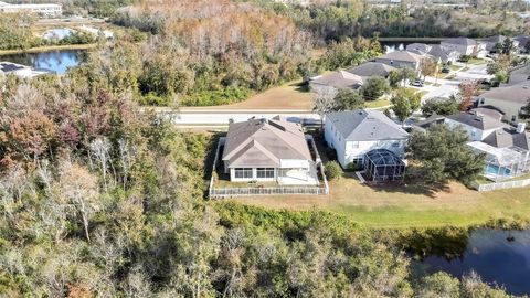 A home in LAND O LAKES