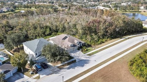 A home in LAND O LAKES