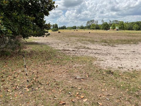 Tiny photo for 9750 NE 49th Street, Bronson, FL 32621 (MLS # OM702731)