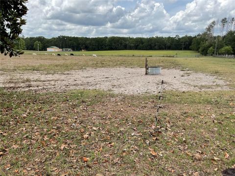 Photo of 9750 NE 49th Street, Bronson, FL 32621 (MLS # OM702731)