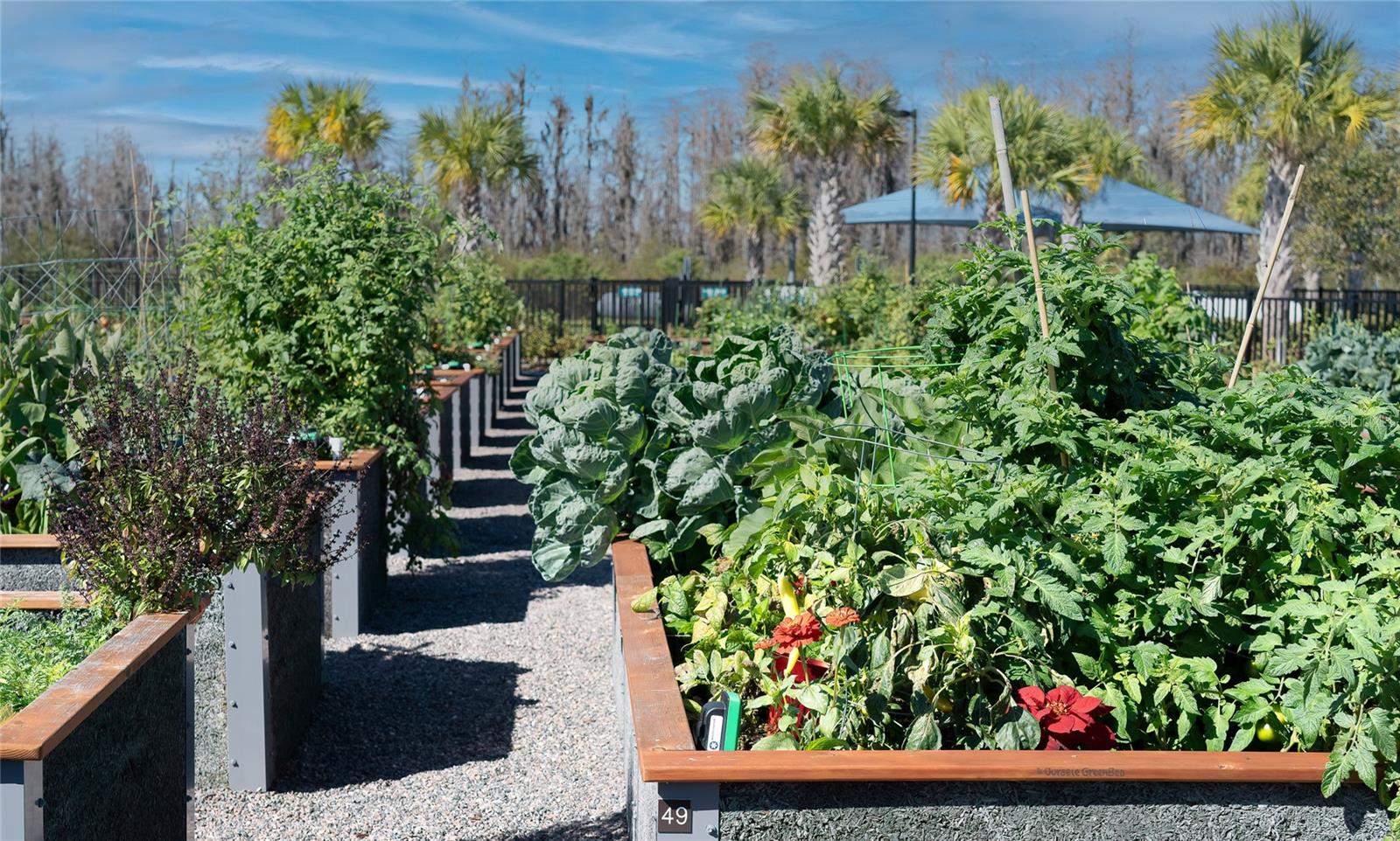 DEL WEBB BEXLEY PH 4 - Residential