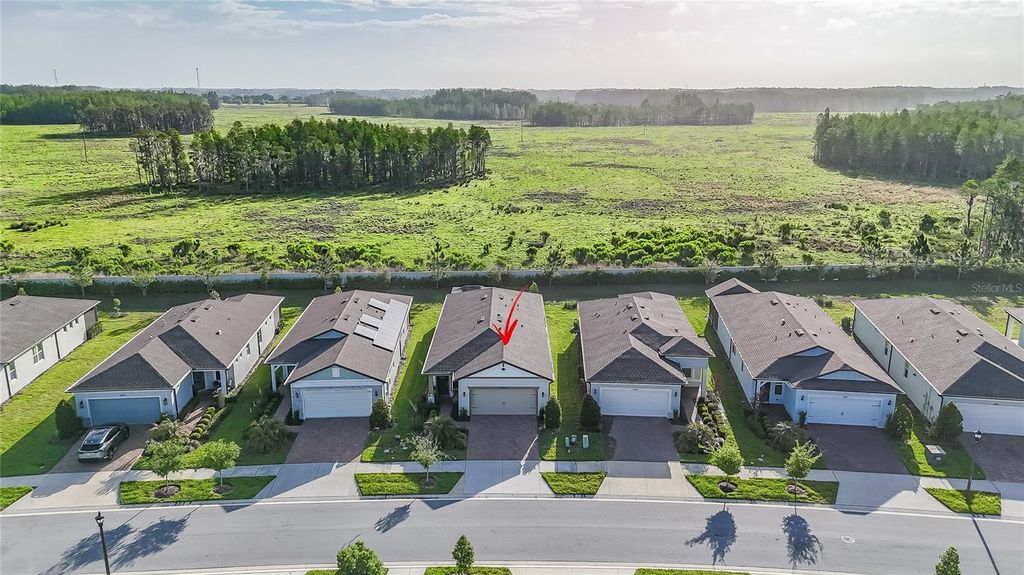 Photo of 5989 Shorebird Branch, Land O Lakes, FL 34638 (MLS # TB8495783)