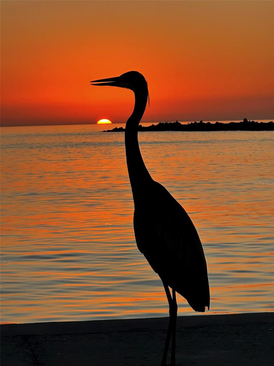 BEACH PLAZA SEC OF ST PETE BEACH - Residential Income