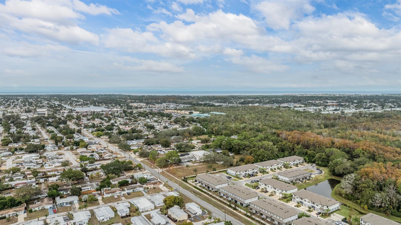 BUENA VISTA MANOR - Residential