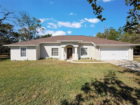 Photo of 12105 Maripoe Road, Weeki Wachee, FL 34614 (MLS # TB8455990)