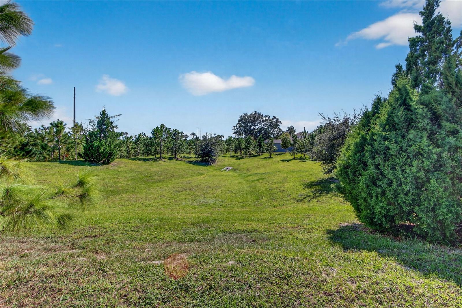 LONGLEAF/OAKLAND REP - Residential