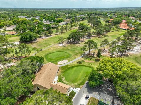 A home in PALM HARBOR