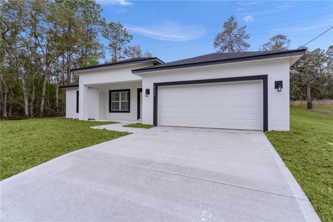 A home in CITRUS SPRINGS