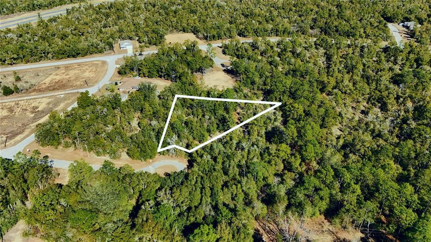 Seller financing available --ask us how!! Own over an acre of Florida land with this 1.09-acre vacant residential lot located on Lark Court in Chipley. Enjoy the freedom of no HOA fees or deed restrictions, giving you flexibility to build and design your home your way. Even better, this property is situated in a non-flood zone, offering added peace of mind and potential insurance savings. Chipley is known for its quiet, rural charm and access to beautiful natural surroundings. Outdoor enthusiasts will appreciate proximity to Falling Waters State Park, scenic lakes, and wooded landscapes perfect for hiking, fishing, and enjoying the outdoors. The area offers a relaxed pace of life while still providing convenient access to shopping, dining, and everyday necessities. Whether you’re planning a primary residence, private retreat, or long-term investment, this spacious lot delivers room to spread out, freedom from HOA restrictions, and a desirable location in Washington County. Call for more information today!!!