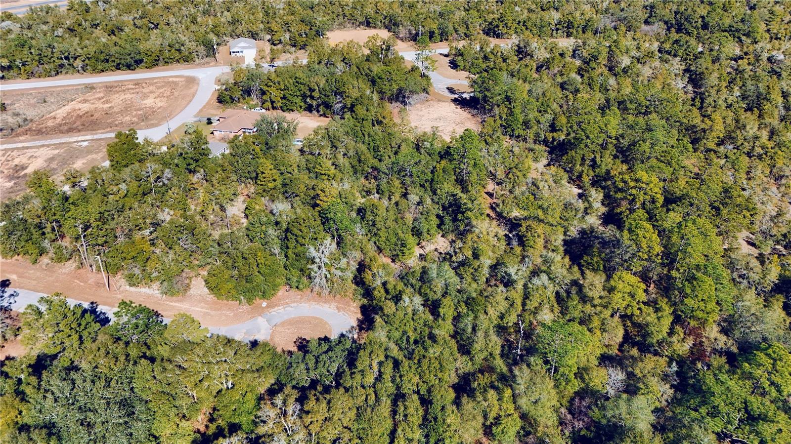 SUNNY HILLS UN ONE - Land