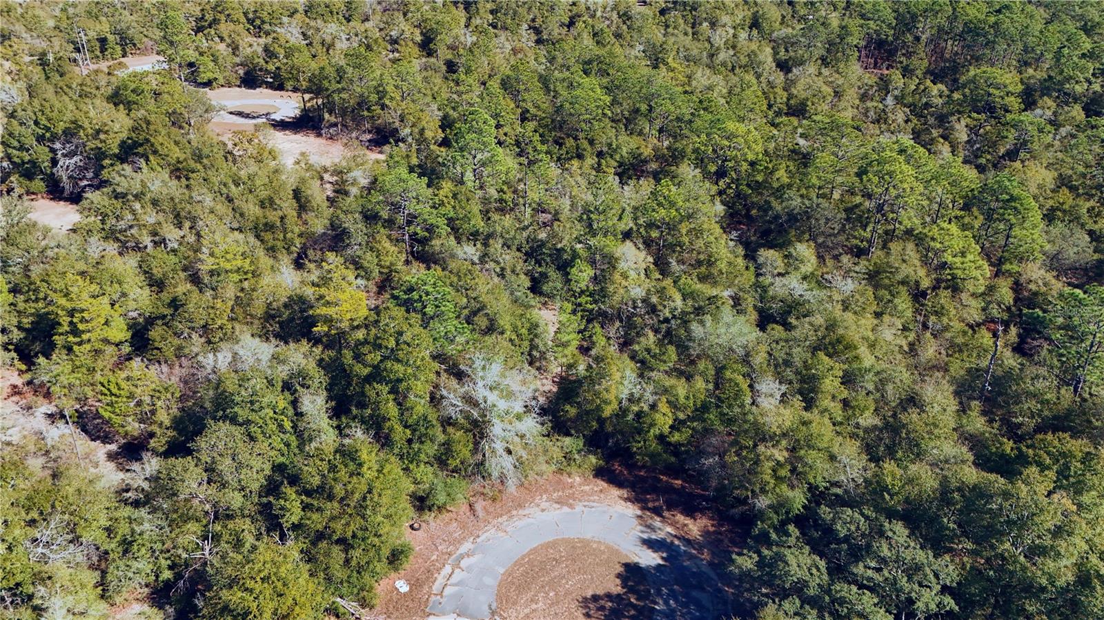 SUNNY HILLS UN ONE - Land