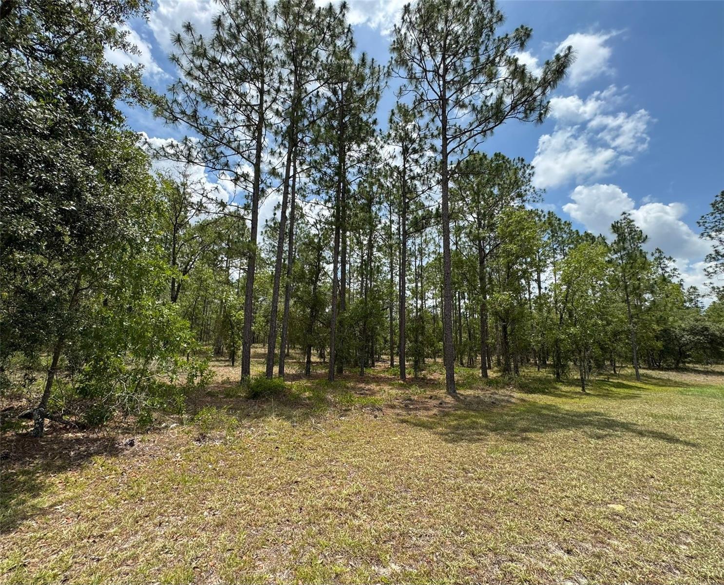Build your dream home on this beautiful 1-acre lot located in the desirable Rainbow Lake Estates community in Dunnellon. This parcel offers a peaceful setting on a paved road, with electric access already available right at the property. A newly built home sits adjacent to the right side of the lot, confirming this is a growing and well-maintained neighborhood. The area is zoned for site-built homes only, ensuring a cohesive residential environment. Just minutes from the stunning Rainbow Springs and downtown Dunnellon, this location combines quiet country living with proximity to natural parks, lakes, and essential services. Whether you are looking for a future homesite or an investment, this clean, buildable lot is ready for your plans.