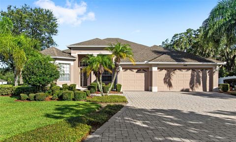 6114 TREMAYNE DRIVE MOUNT DORA FL 32757