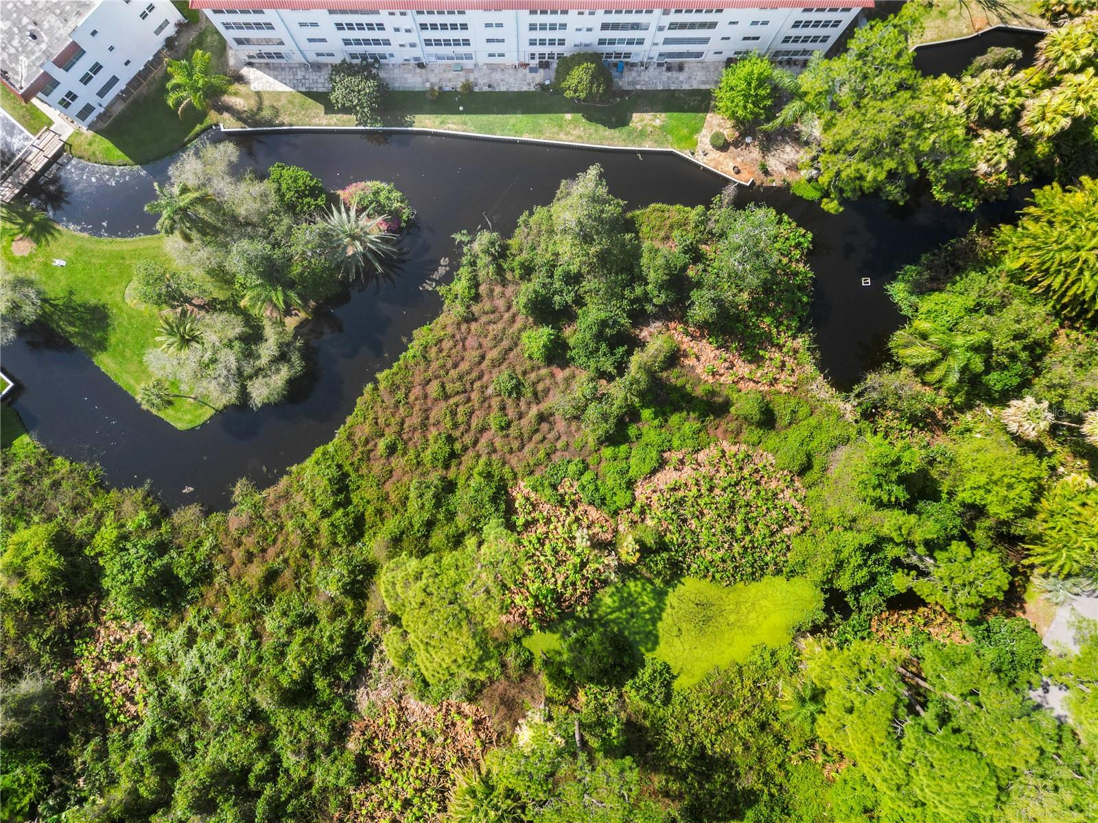 ORCHID SPGS VILL 200 CONDO - Residential