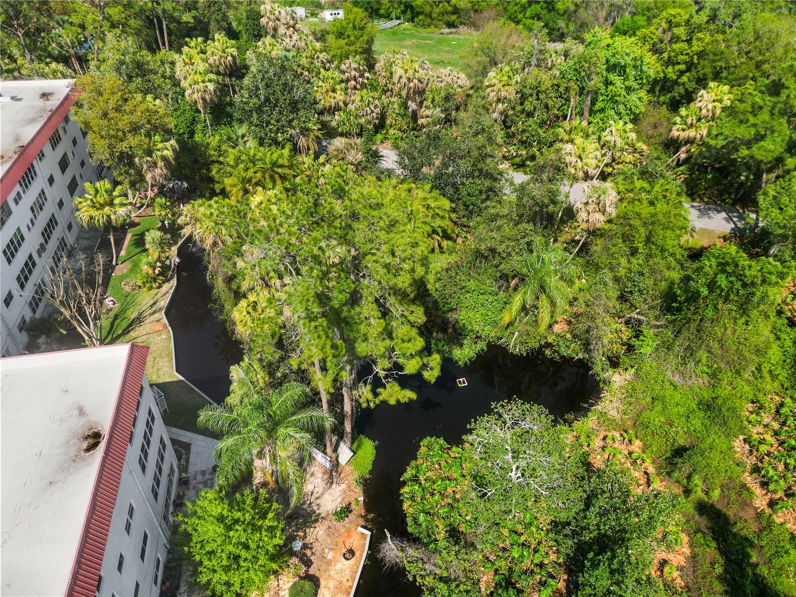 ORCHID SPGS VILL 200 CONDO - Residential