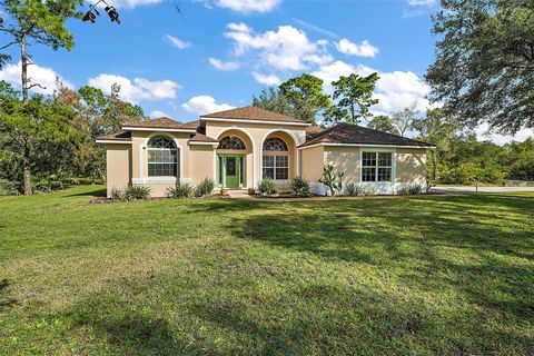 A home in EUSTIS