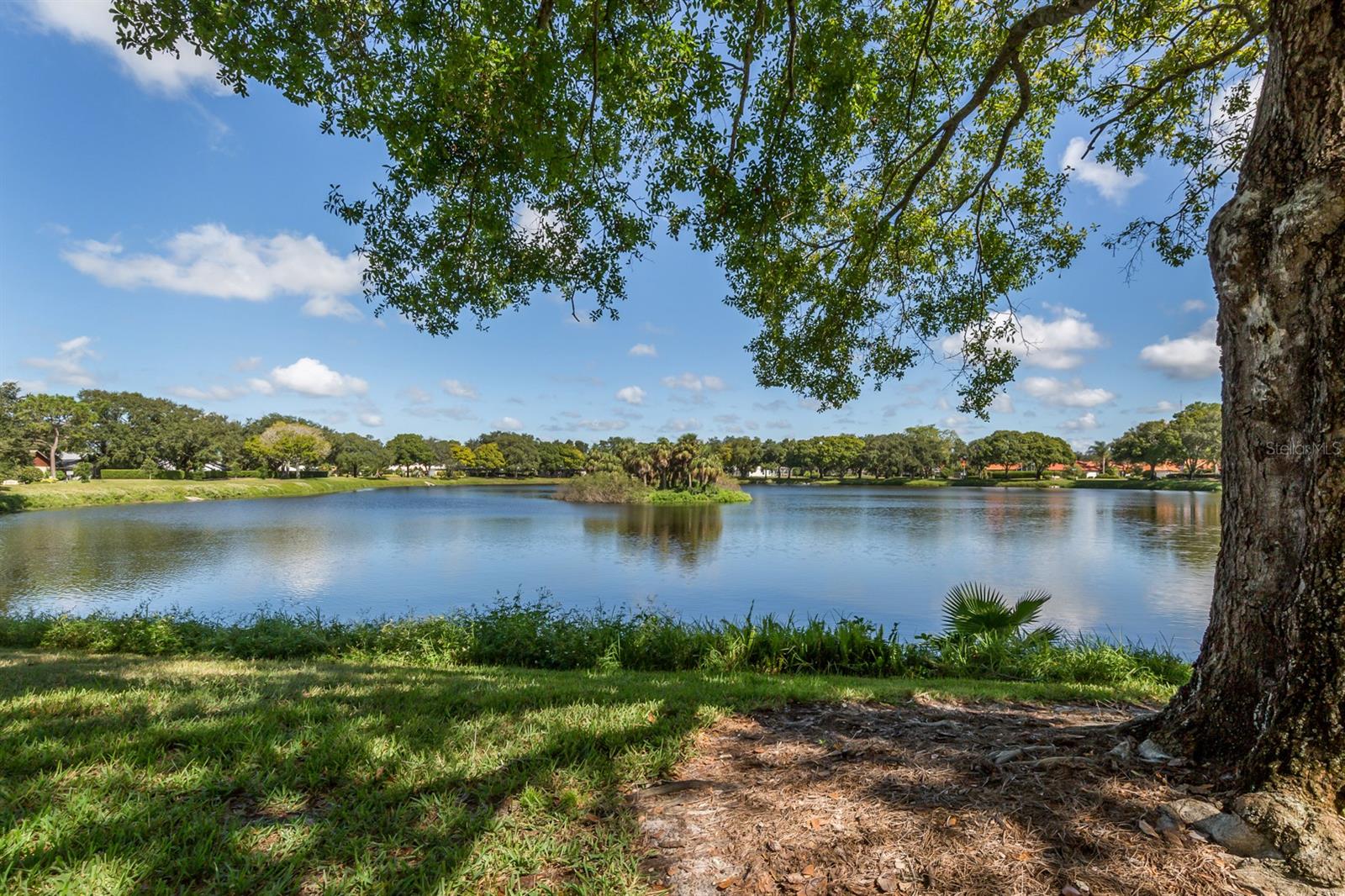 CHESTNUT CREEK VILLAS - Residential