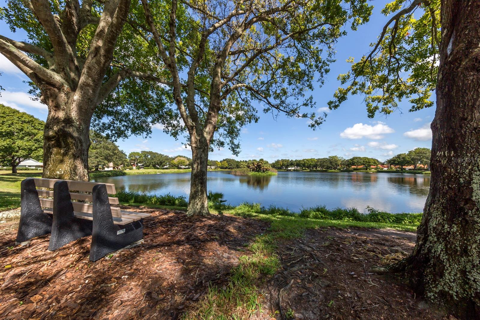 CHESTNUT CREEK VILLAS - Residential