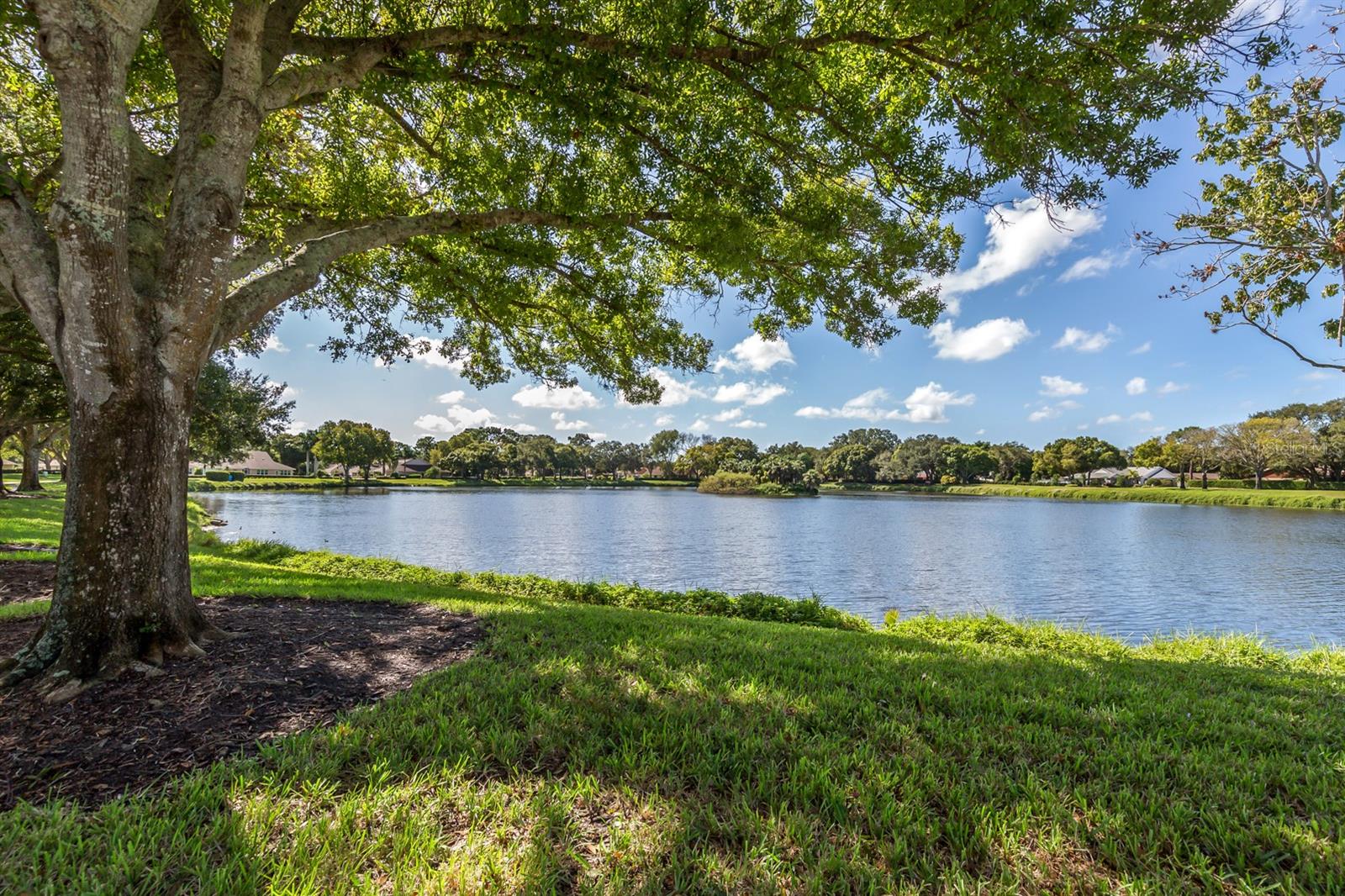 CHESTNUT CREEK VILLAS - Residential