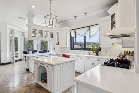 Tiny photo for 36530 Lazy B Lane, Eustis, FL 32736 (MLS # G5107705)