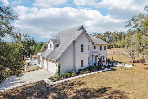 Tiny photo for 36530 Lazy B Lane, Eustis, FL 32736 (MLS # G5107705)