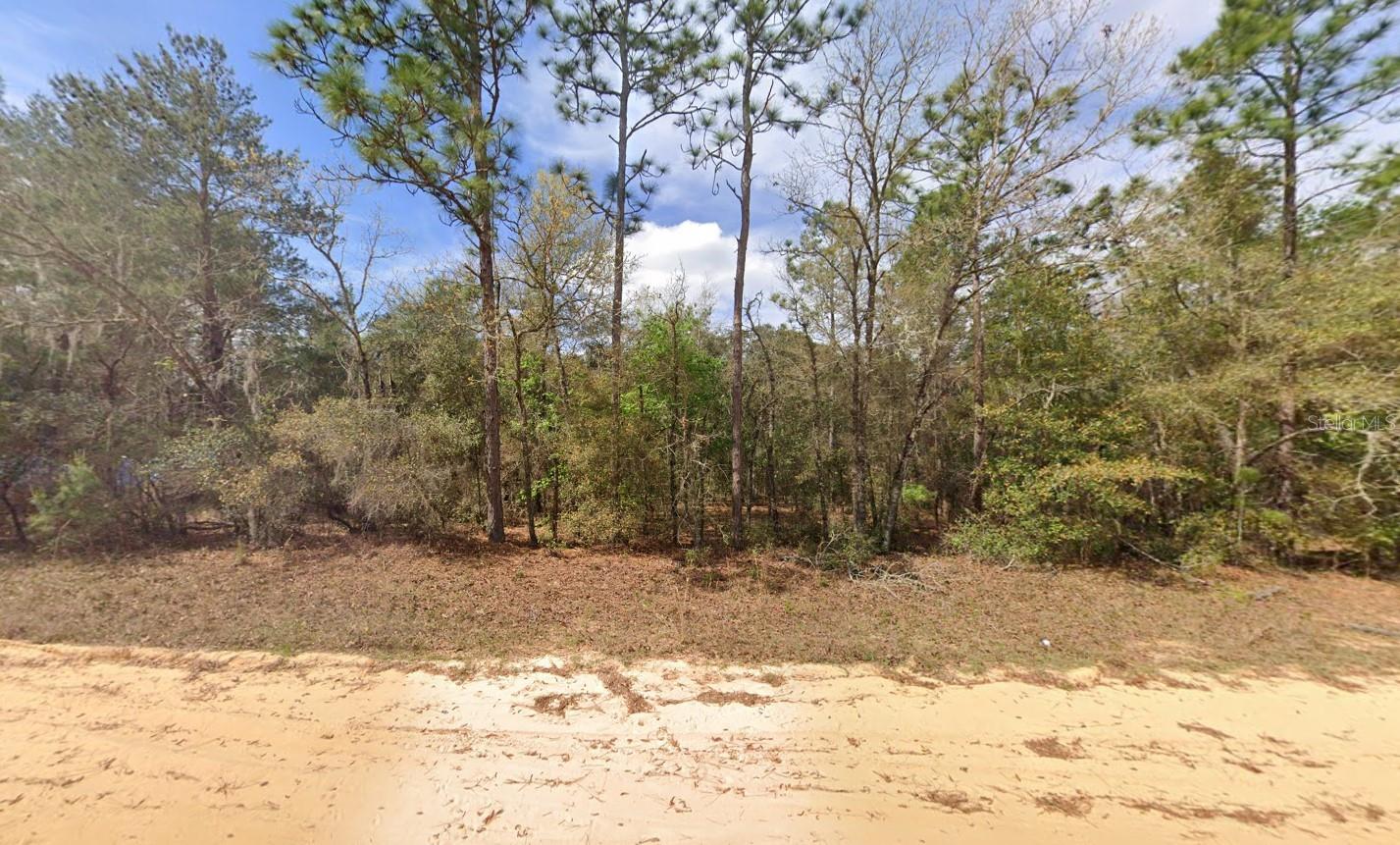 OWNER FINANCING CONSIDERED! Discover your opportunity to own a piece of beautiful Interlachen Lakes Estates! This vacant lot offers the perfect setting for your future home or investment property. Nestled in a quiet, wooded area surrounded by natural Florida beauty, this parcel provides privacy while still being close to local amenities, shopping, and schools. With numerous lakes nearby, outdoor enthusiasts can enjoy boating, fishing, and kayaking just minutes away. Power is available in the area. Whether you’re looking to build your dream home, place a mobile/manufactured home, or hold for the future, this affordable property is full of potential. Don’t miss your chance to own land in this growing community! FOR DIRECTIONAL PURPOSES USE 410 BRETT AVE