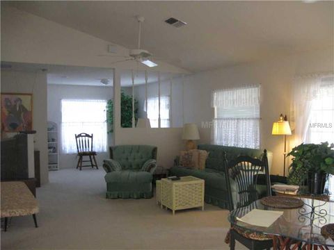 A home in MOUNT DORA