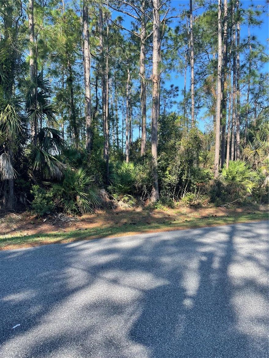 Build your dream Florida home on this spacious, beautifully situated 100' x 125' residential lot in the highly desirable Matanzas Woods neighborhood of Palm Coast! Offering approximately 0.29 acres (12,500 sq. ft.) of prime real estate. Nestled in a quiet, established community, you can enjoy the tranquility of suburban living without sacrificing convenience. There is no timeframe to build—secure your slice of paradise now and build when you are ready, with the builder of your choice. Don't miss this fantastic opportunity to invest in one of Florida's fastest-growing coastal communities. Drive by and envision your future home today!