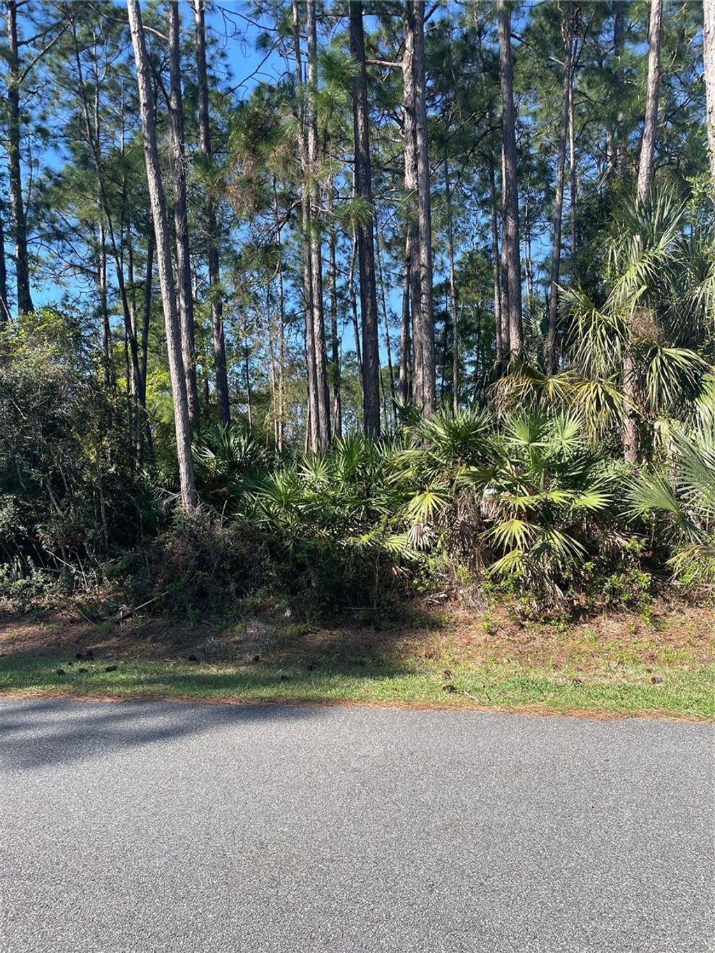 Photo of 69 Lindsay Drive, Palm Coast, FL 32137 (MLS # FC317116)
