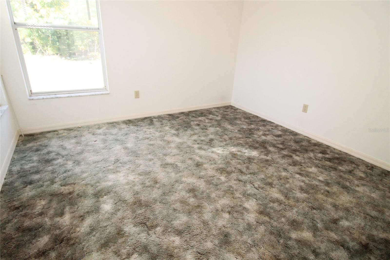 MINNEOLA - Residential Lease