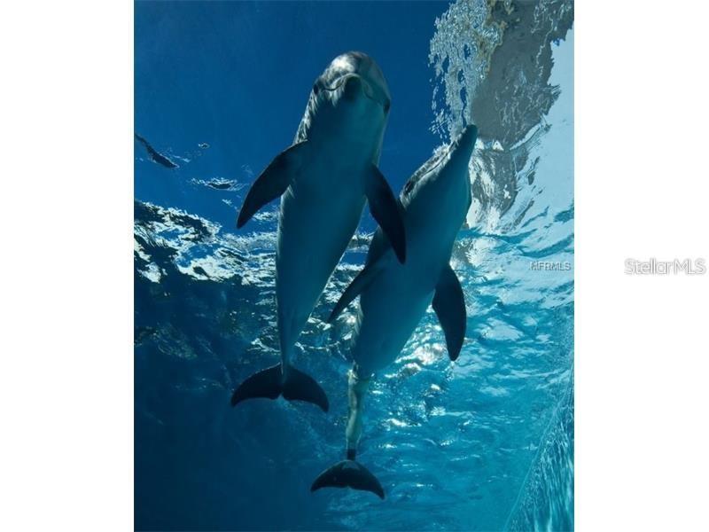 STARBOARD TOWER - Residential Lease