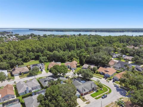 A home in PALM HARBOR