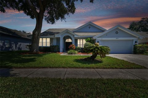 A home in PALM HARBOR