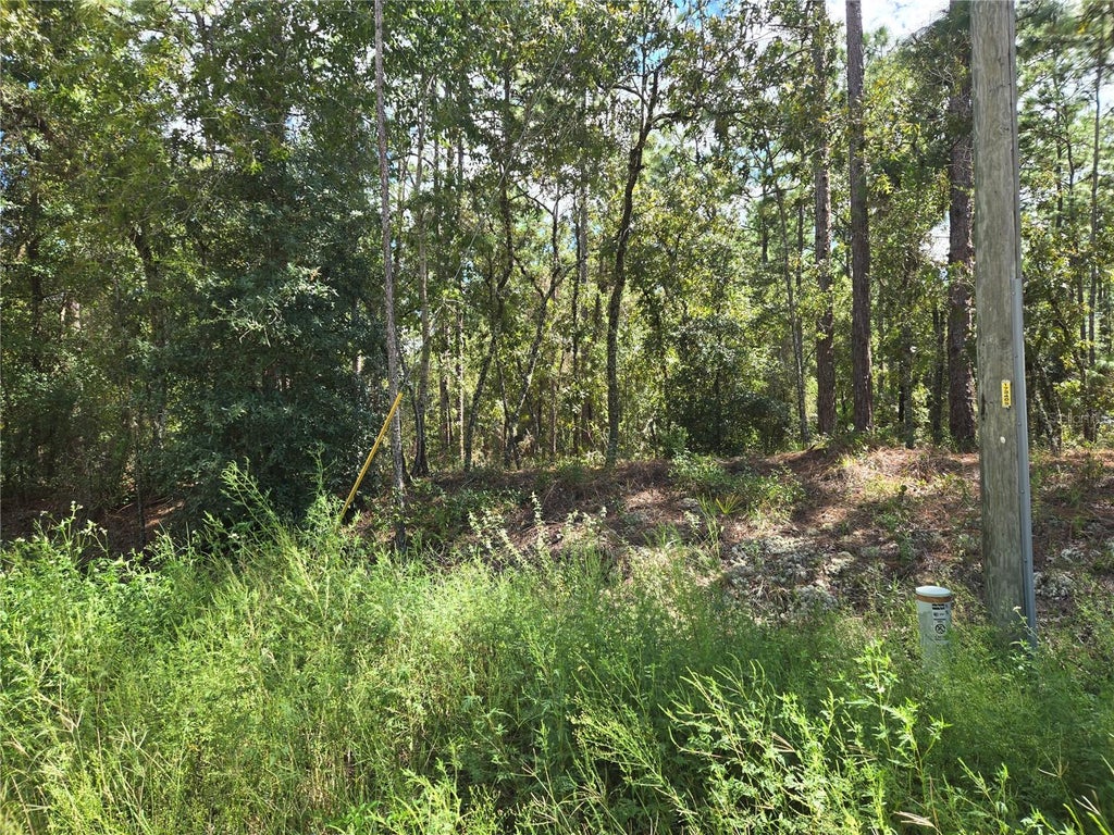 Photo of SW 76th Lane, Dunnellon, FL 34432 (MLS # OM731810)