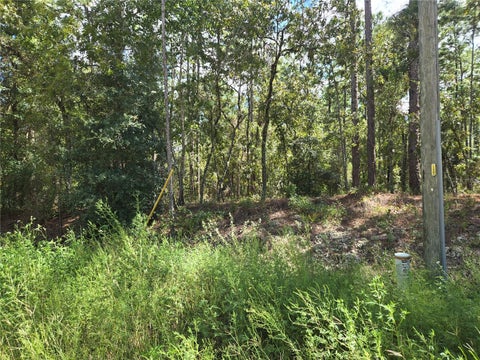 Photo of SW 76th Lane, Dunnellon, FL 34432 (MLS # OM731810)